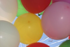 118_1826