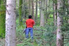 DSCF8607