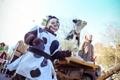 067_Fasnacht_Ak_2012_02_18_289-2