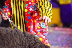 110_Fasnacht_Ak_2012_02_18_670