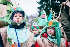 Fasnacht14_037_Remo