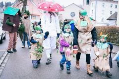 Fasnacht14_062_Remo