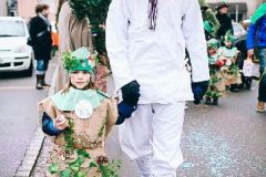Fasnacht14_063_Remo