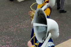 fasnacht2014_umbenannt_0095