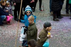 fasnacht2014_umbenannt_0105