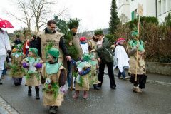 fasnacht2014_umbenannt_0114