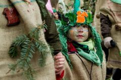 fasnacht2014_umbenannt_0117