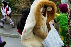 fasnacht2014_umbenannt_0119
