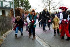 fasnacht2014_umbenannt_0124