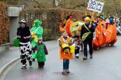 fasnacht2014_umbenannt_0127
