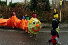 fasnacht2014_umbenannt_0129