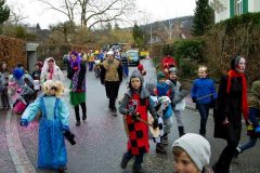 fasnacht2014_umbenannt_0130