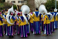 fasnacht2014_umbenannt_0138