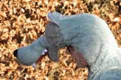DSC_0510