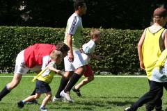 IMG_8221